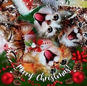 Meet your Posher, Melody